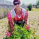 Знакомства: Алёна, 53 года, Павловск (Алтайский Край)