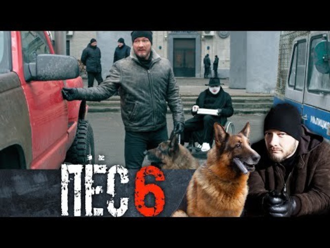 пес 6 пассажир. пес 6 пассажир. пес 6. пес 6 пассажир. пес 6 пассажир.