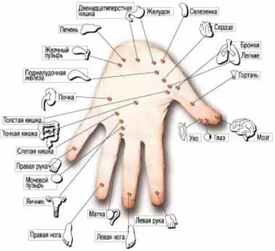 Акупунктура точки на теле и их расположение