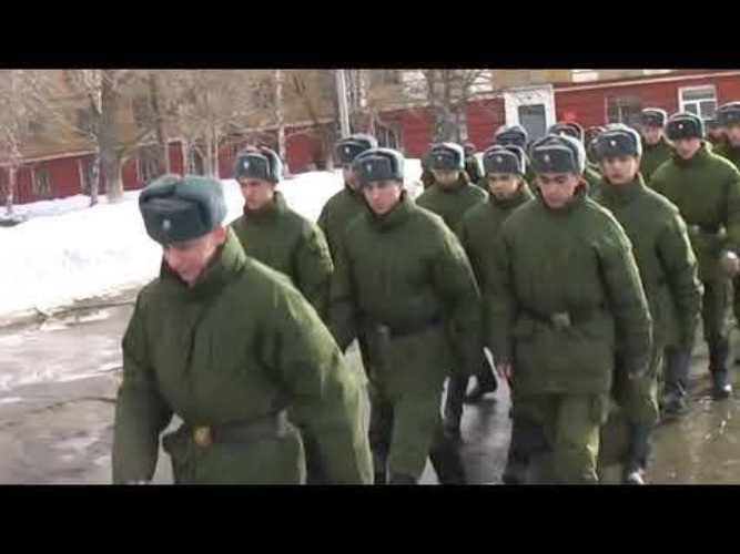 Гоп зелень. Армейская гоп стоп. Гоп-стоп зелень лимит-Army. Гоп стоп зелень поют солдаты. Зеленский боится Путина.