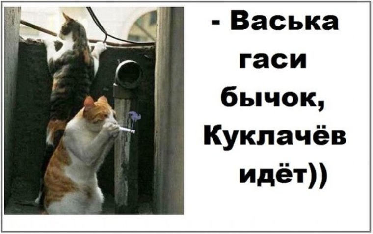 Васька косой кто это