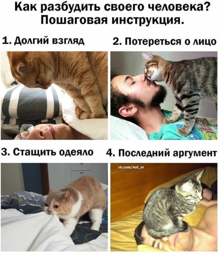 Две красивые девчули нашли самотык и пытаются придумать что с ним делать Две красивые девчули нашли самотык и пытаются придумать что с ним делать