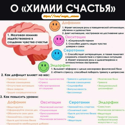 Тест на уровень счастья. Химия счастья. Уровень счастья. Химия счастья Рохас. "Химия счастья" газани кратко.