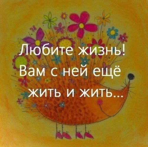 Люблю жизнь на дзене