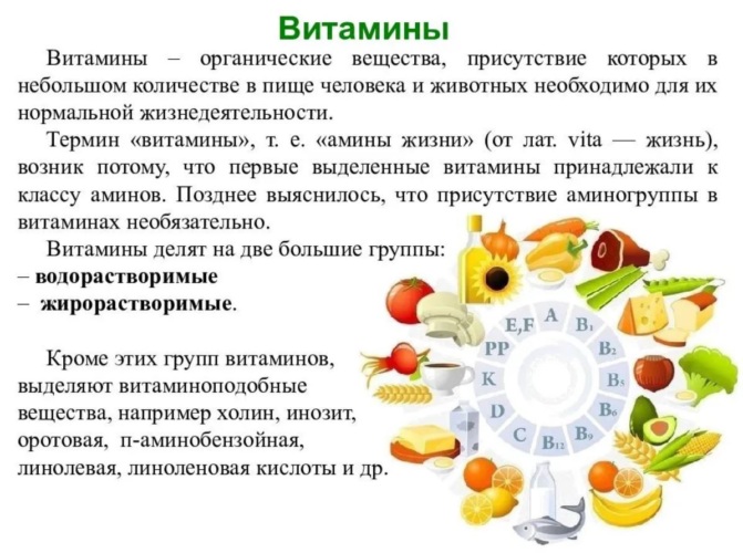Vitamino C skonis - Tabako Bar Food and drink, Food, Healthy benefits