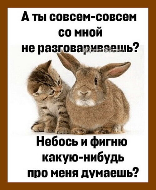 - Разговаривать ты со мной разговариваешь, - ответила она. – А вот главного все равно не говоришь