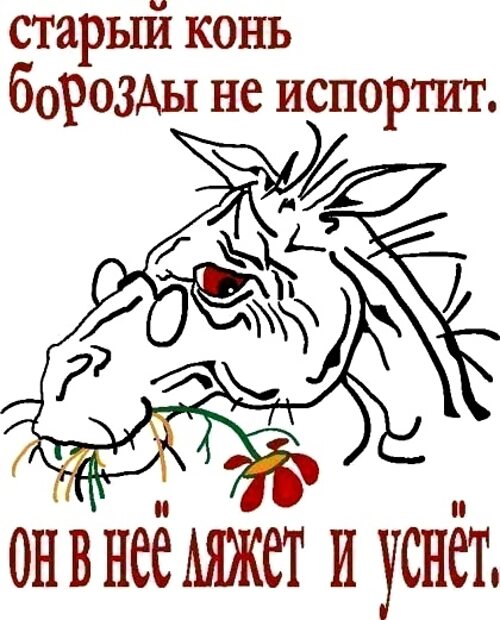 Старая лошадь борозды не испортит. Старый конь борозды не испортит. Старый конь борозды не вспашет. Старый конь борозды не вспашет. Старый конь борозды не вспашет.