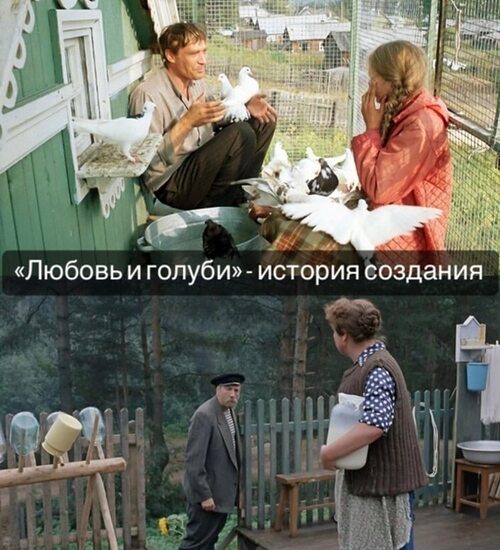 Любовь И Голуби Эротика