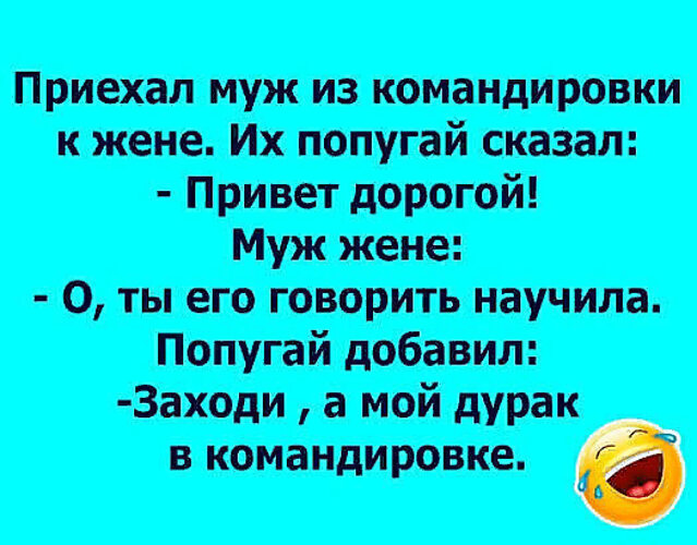 Когда муж в командировке картинки прикольные