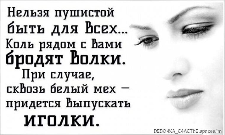Для всех нельзя быть пушистой растащат на воротники. Нельзя пушистым быть. Для всех пушистым не будешь растащат на воротники. Растащат на воротники. Нельзя пушистым быть.