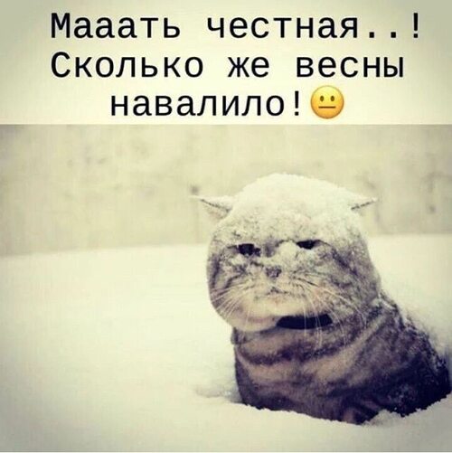 Сибирская деваха даже на морозе не стесняется сосать Сибирская деваха даже на морозе не стесняется сосать