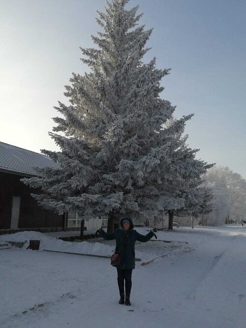 На встречу северной