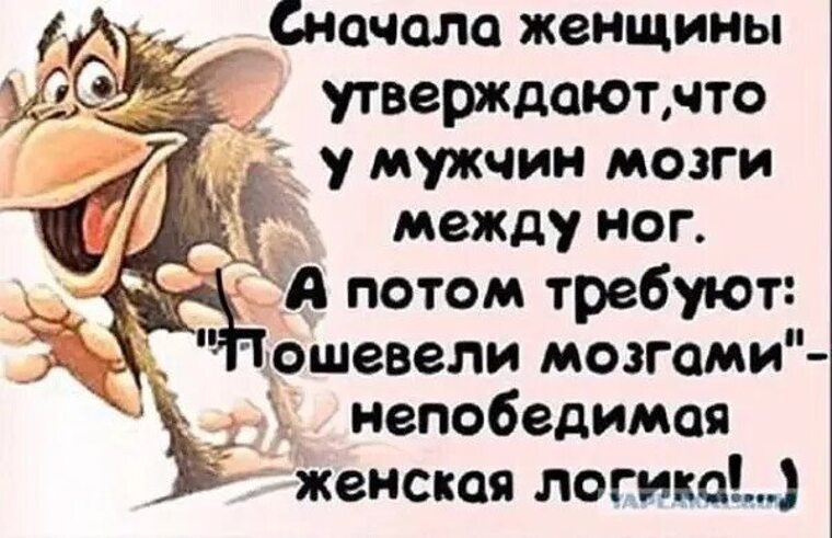 https://i7.tabor.ru/feed/2024-08-04/39041380/4749124_760x500.jpg