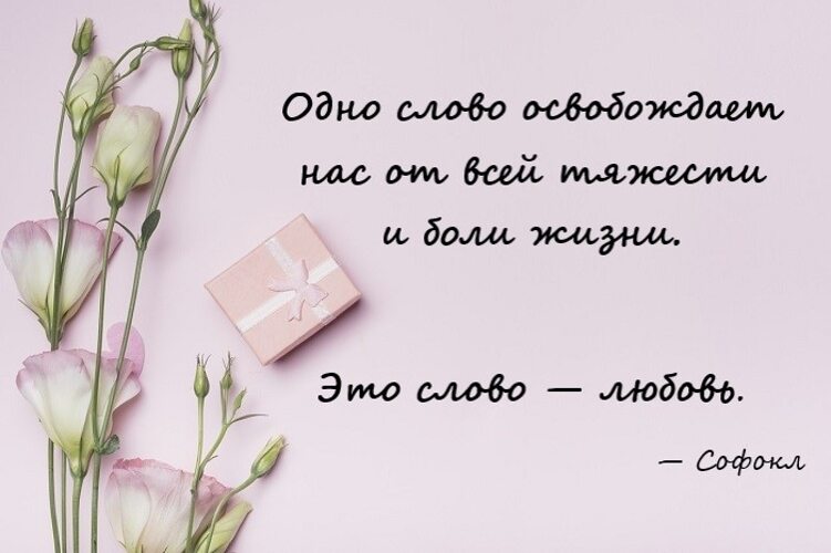 Красивые фразы для любимой девушки