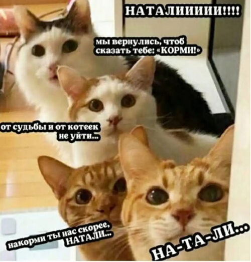 Картинка загружается...