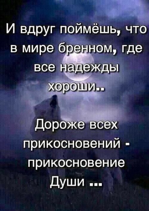 Секса К Слову Жизнь Секса К Слову Жизнь