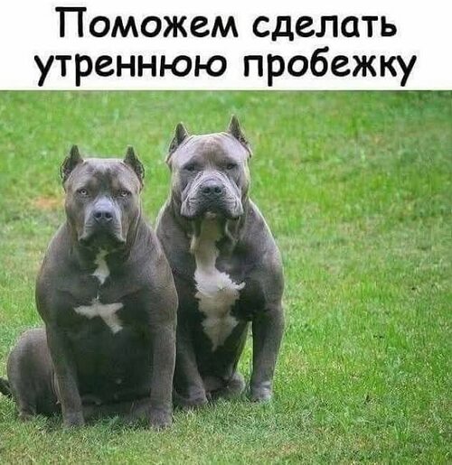 Вместо утренней пробежки сестрёнка побежала на болт брата Вместо утренней пробежки сестрёнка побежала на болт брата