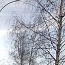 Знакомства: Руслан, 30 лет, Набережные Челны