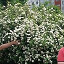 Знакомства: Игорь, 62 года, Воронеж