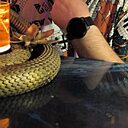 Знакомства: Евгений, 38 лет, Новочеркасск