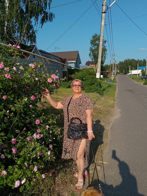 Фото - Tabor.ru