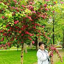 Знакомства: Анна, 53 года, Краснодар