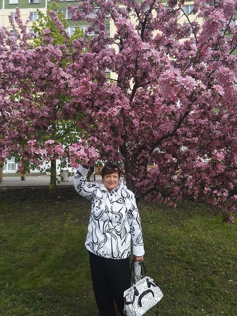 Фото - Tabor.ru