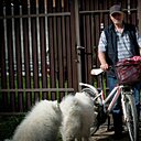 Знакомства: Слава, 69 лет, Великий Новгород