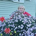 Знакомства: Людмила, 56 лет, Кушва