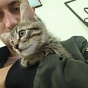 Знакомства: Николай, 25 лет, Богородицк