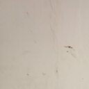 Знакомства: Кирилл, 19 лет, Москва