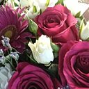 Знакомства: Даша, 53 года, Краснодар