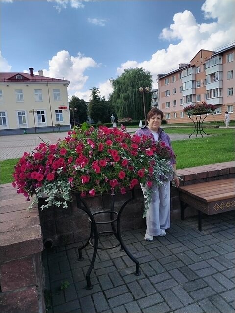 Фото - Tabor.ru