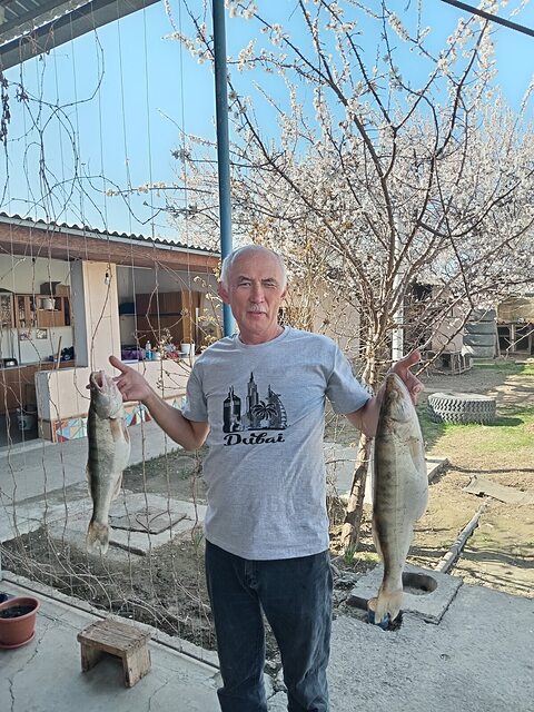 Фото - Tabor.ru