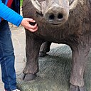 Знакомства: Николай, 52 года, Белгород