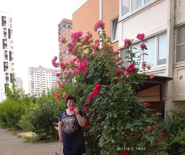 Фото - Tabor.ru