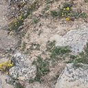 Знакомства: Олег, 50 лет, Евпатория