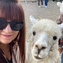 Знакомства: Алла, 59 лет, Белогорск