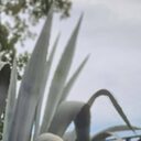 Знакомства: Рафаель, 34 года, Симферополь