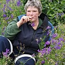 Знакомства: Светлана, 53 года, Строитель (Белгородская Обл)