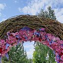 Знакомства: Lusik, 68 лет, Красноярск