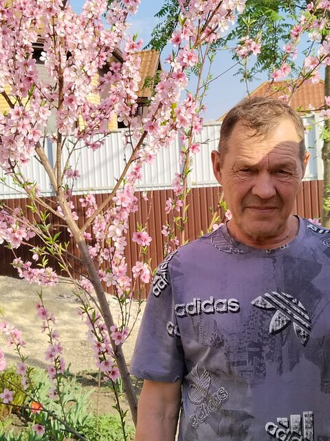 Фото - Tabor.ru