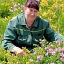 Знакомства: Александра, 58 лет, Обоянь