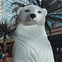 Знакомства: Михаил, 35 лет, Луганск