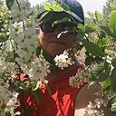 Знакомства: Елена, 46 лет, Орел