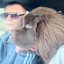 Знакомства: Сергей, 41 год, Южно-Сахалинск