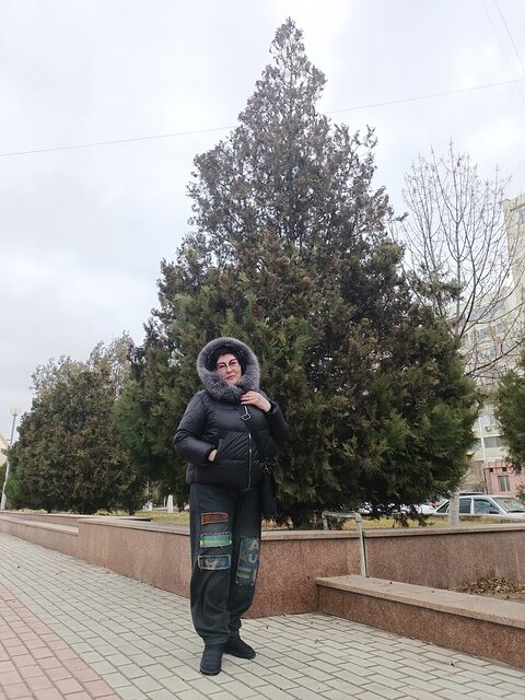Фото - Tabor.ru