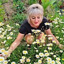 Знакомства: Натали, 48 лет, Братск