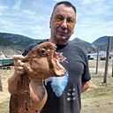 Знакомства: Роман, 62 года, Хабаровск