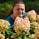 Знакомства: Дарья, 33 года, Палласовка